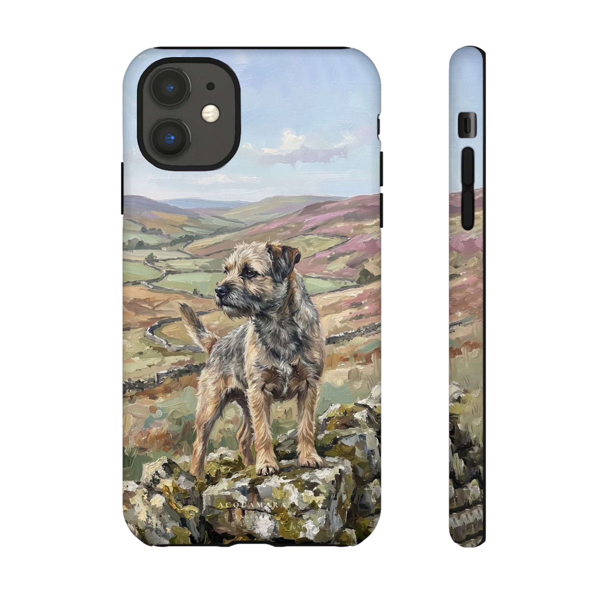 The Border Terrier (Grizzle and Tan)