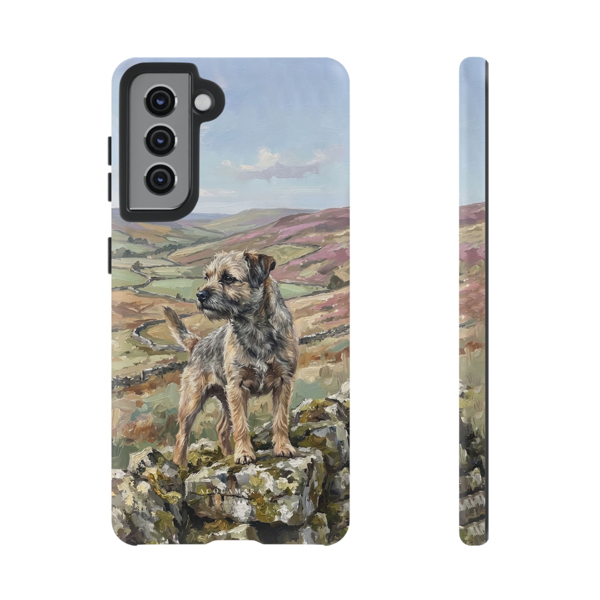 The Border Terrier (Grizzle and Tan)