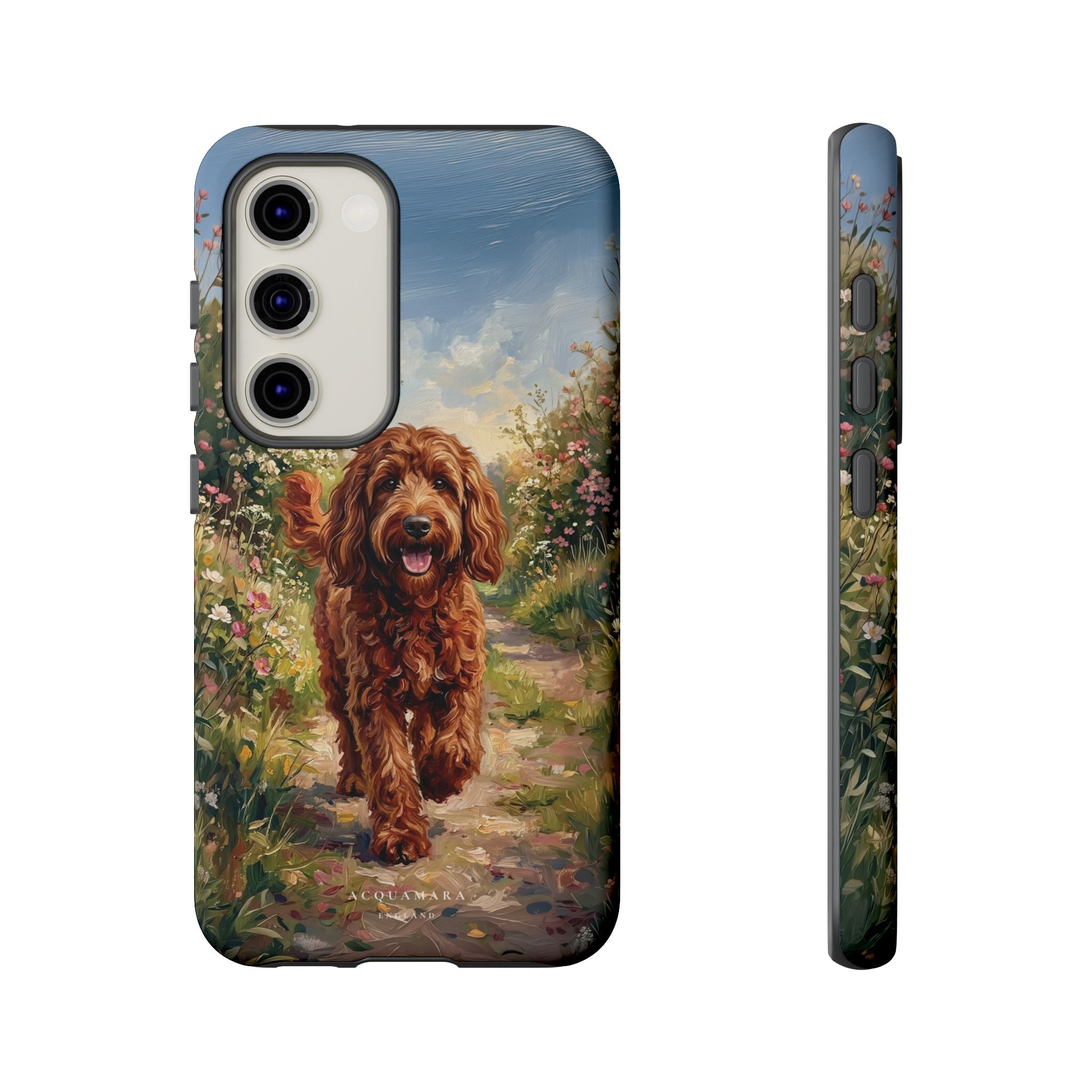 The Goldendoodle