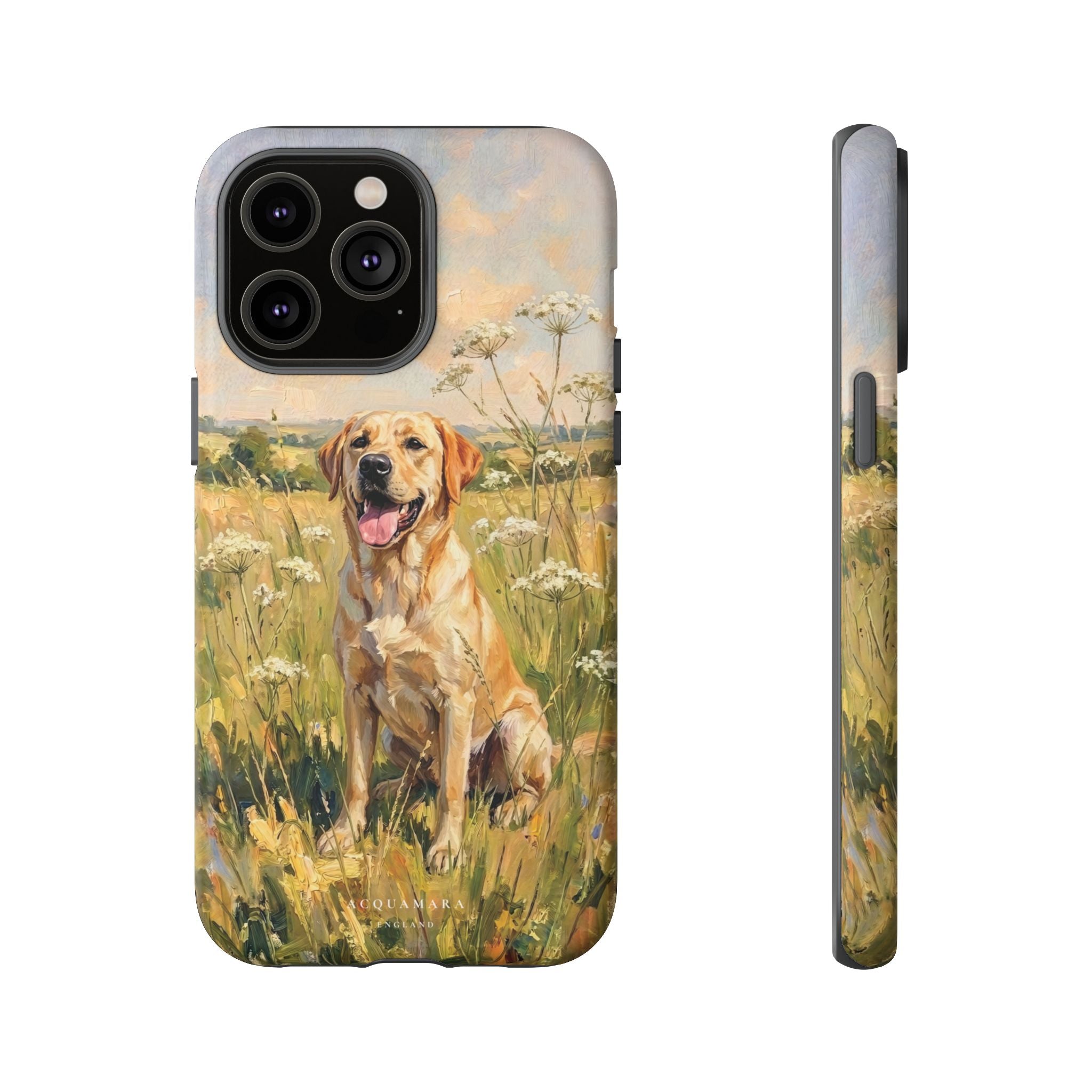 The Labrador (Yellow)