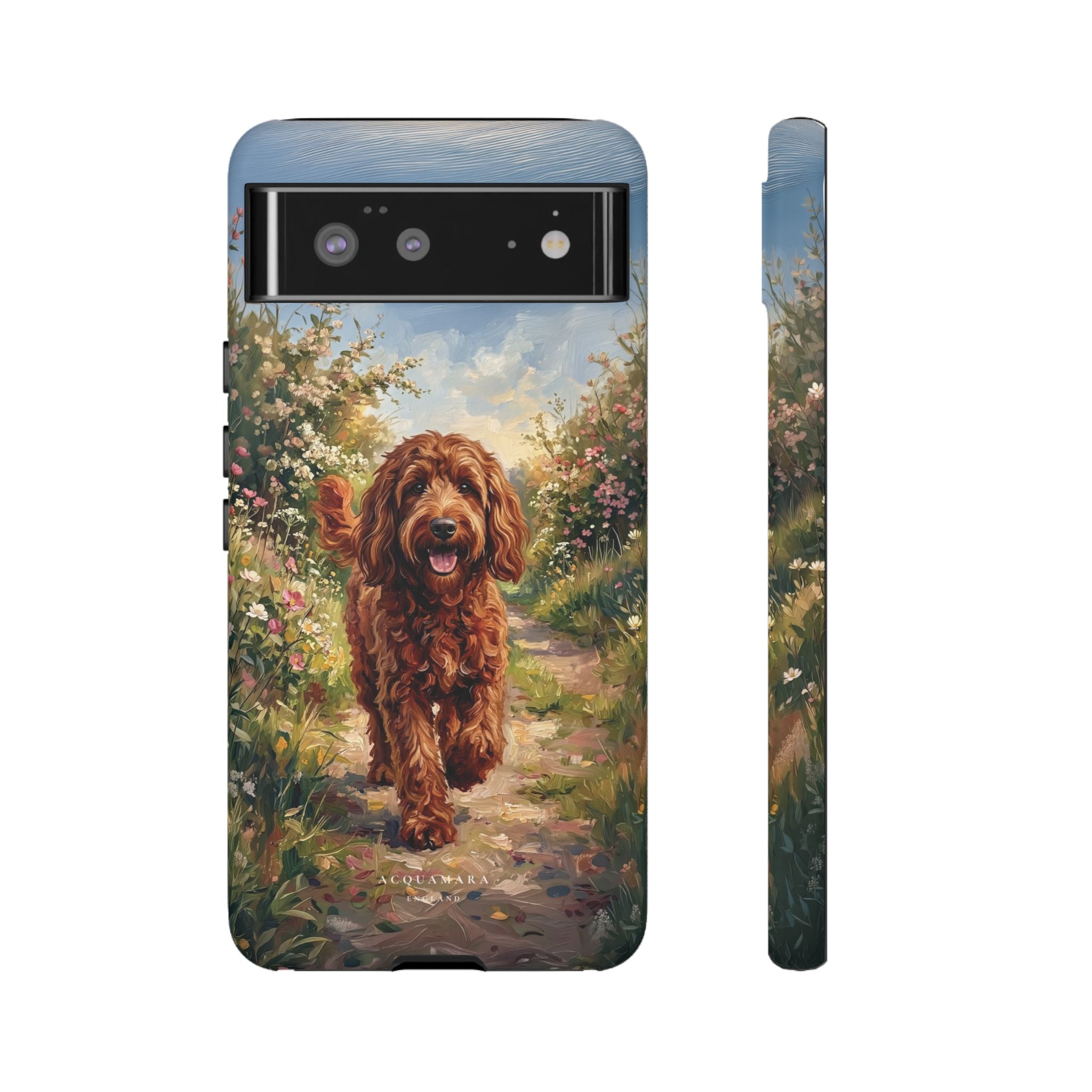 The Goldendoodle