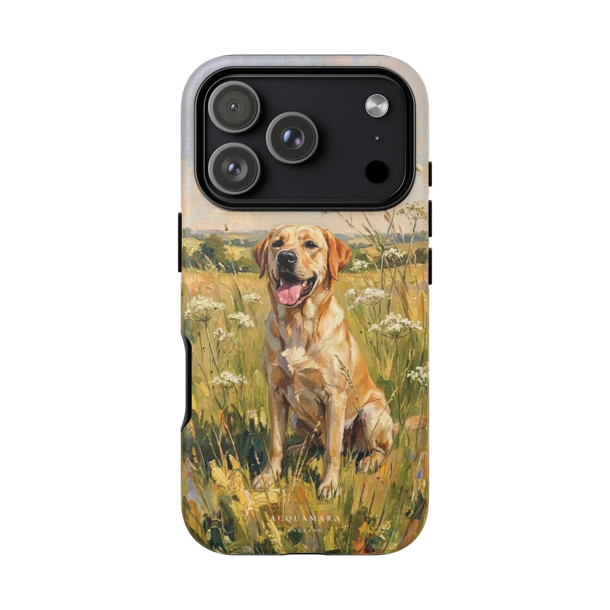 The Labrador (Yellow)