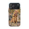 The Show Cocker (Golden)