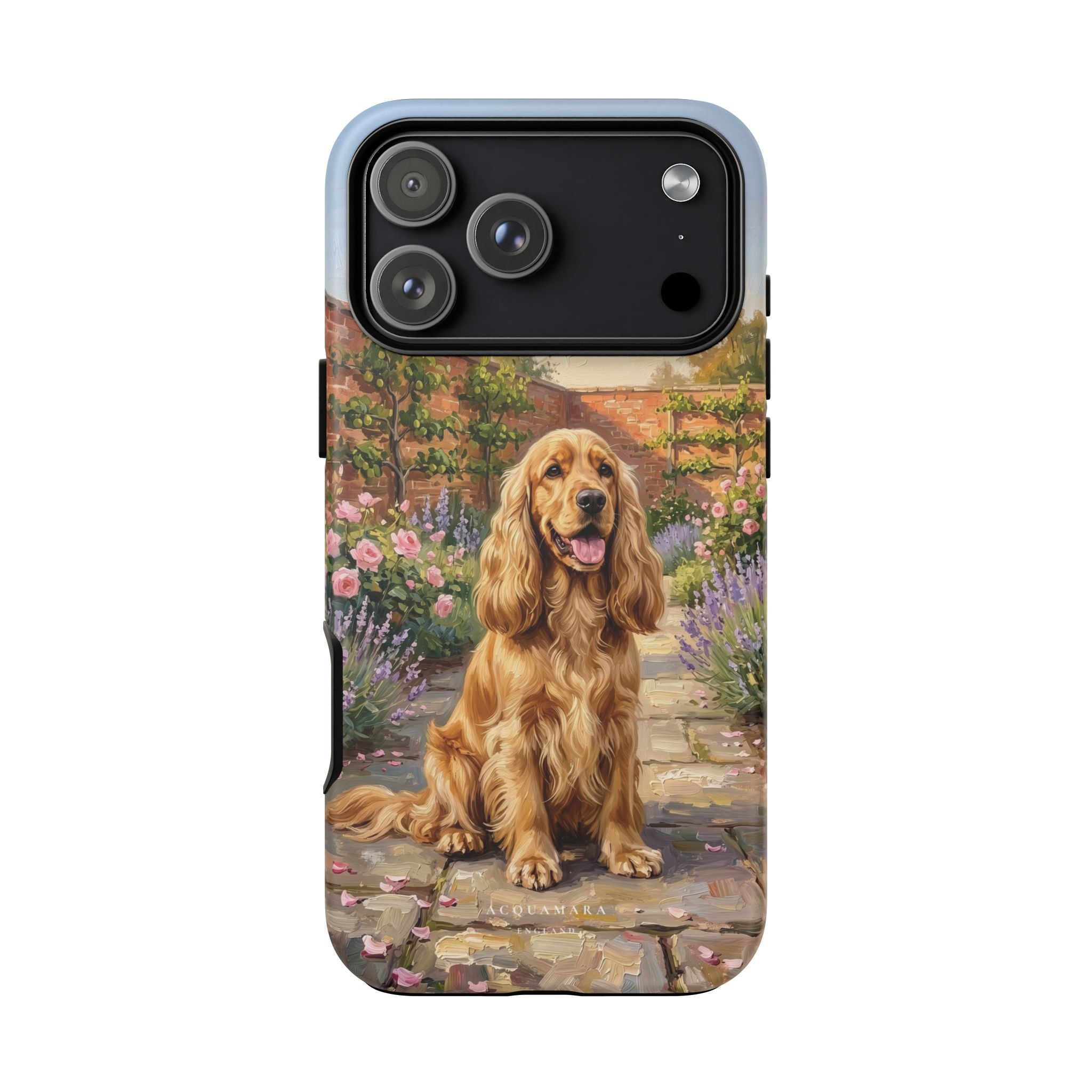 The Show Cocker (Golden)