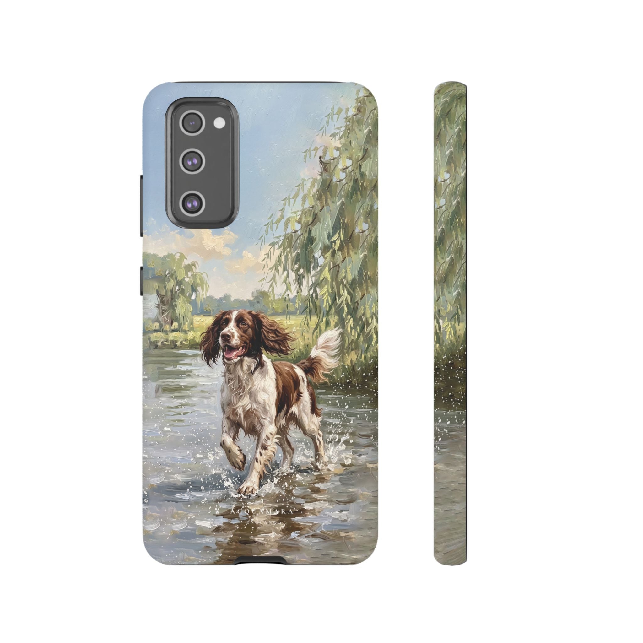 The Springer Spaniel (Liver and White)