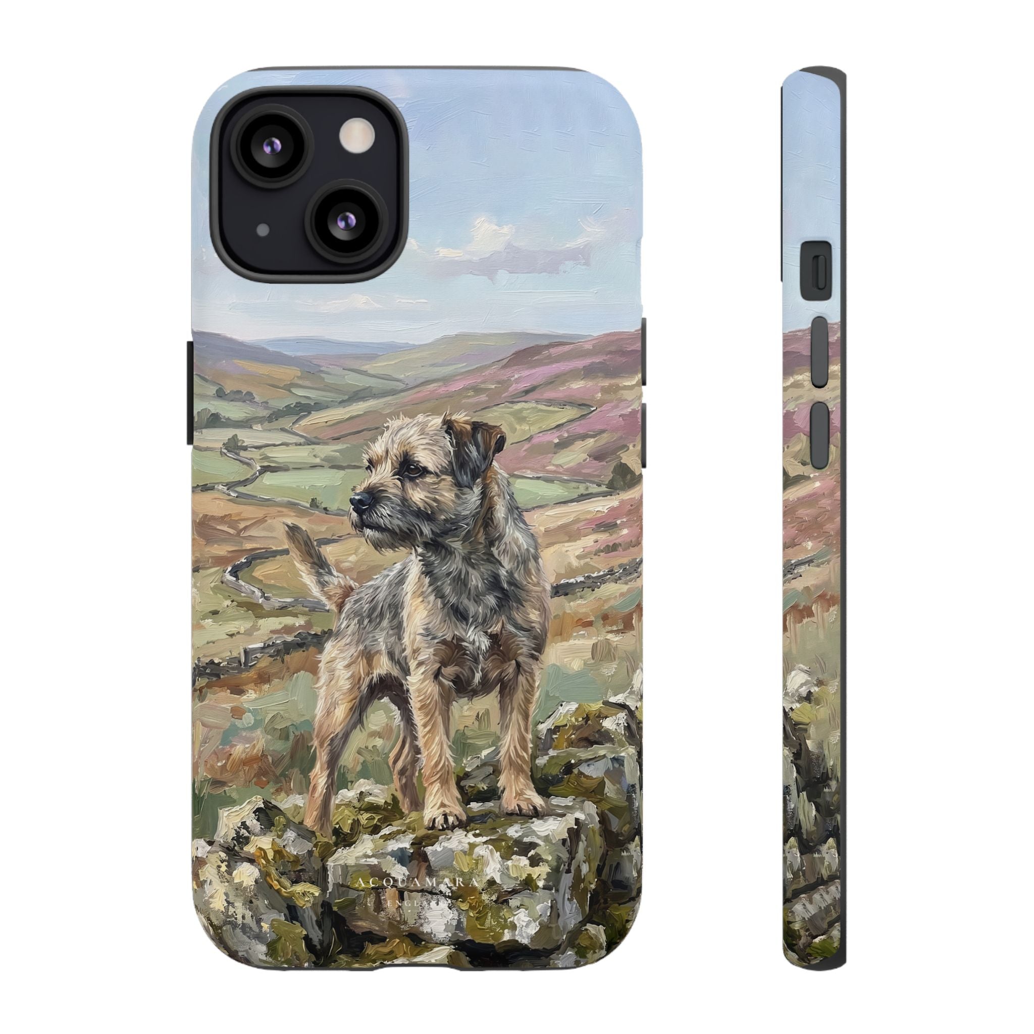 The Border Terrier (Grizzle and Tan)