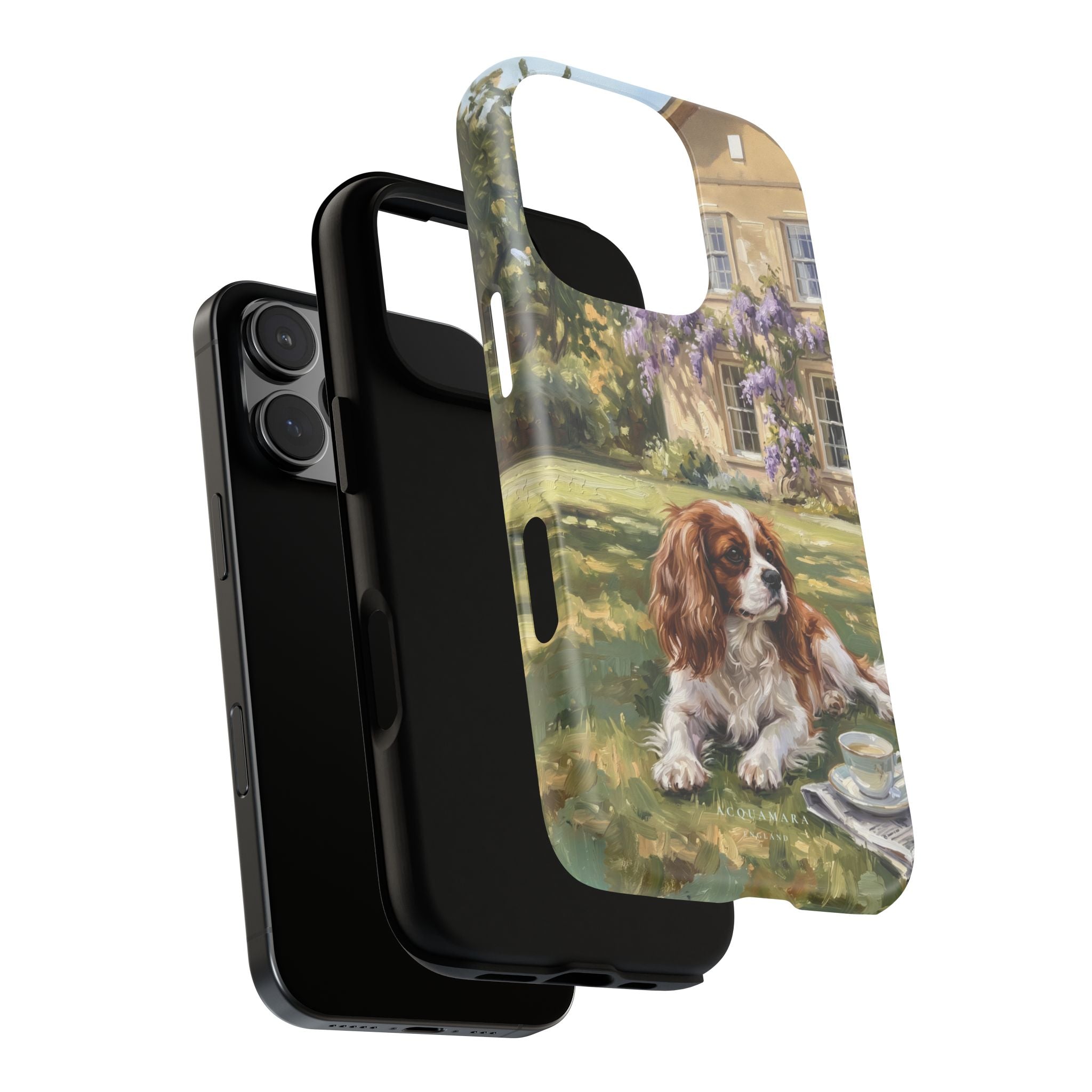 The Cavalier King Charles Spaniel