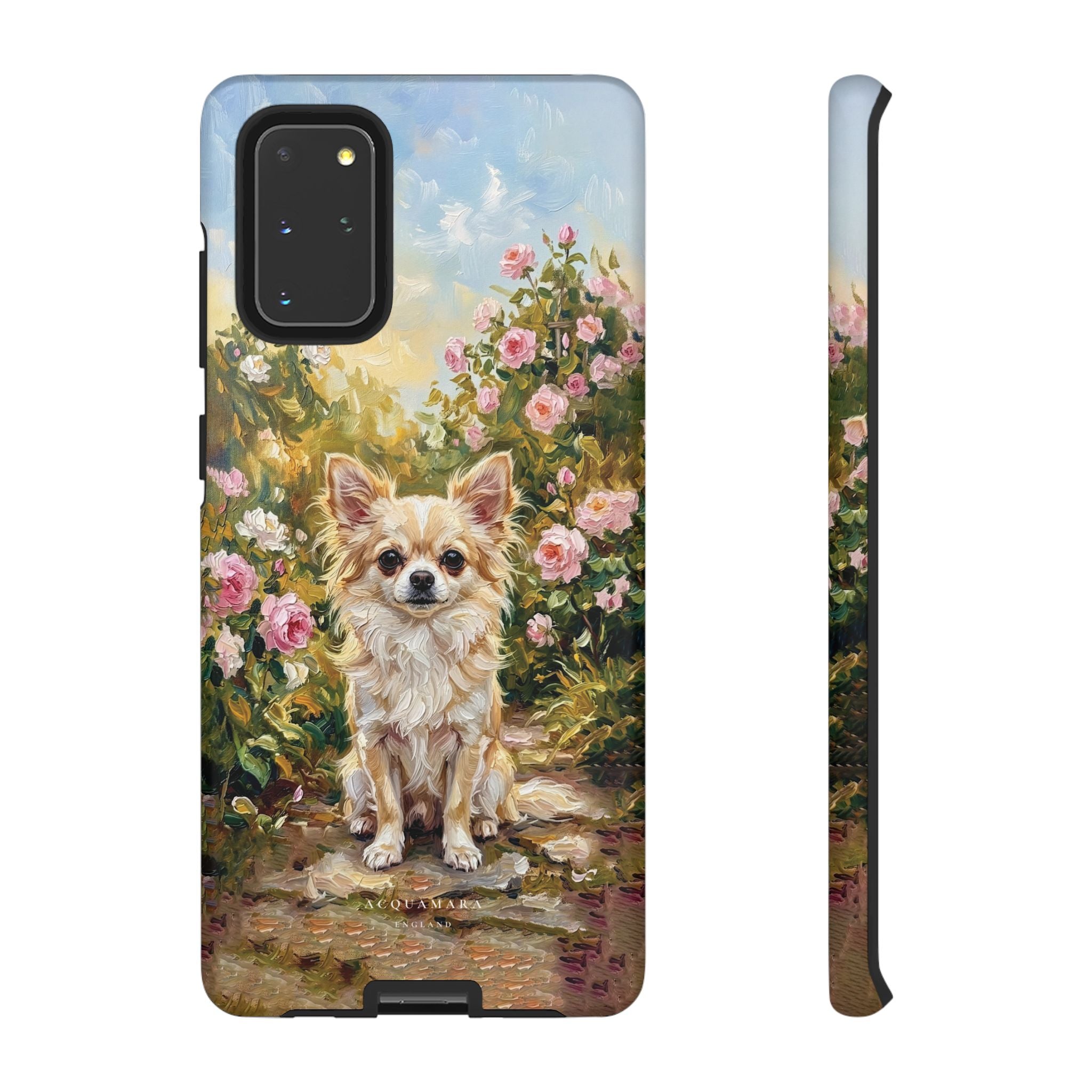 The Chihuahua - Longcoat