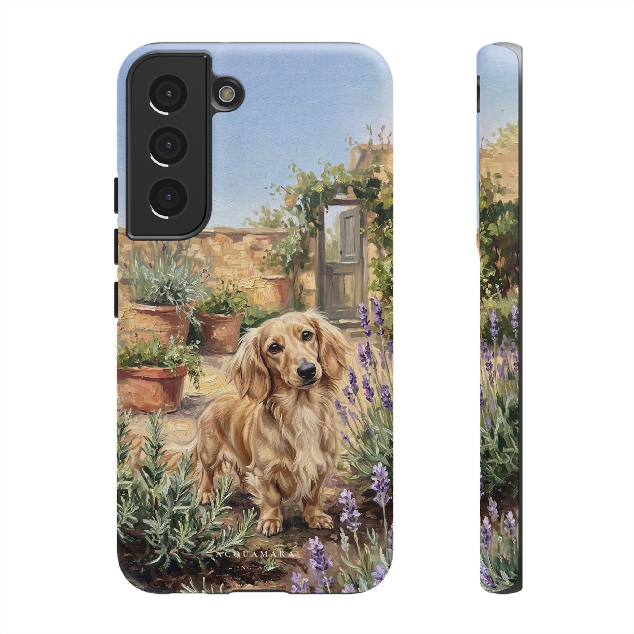 The Dachshund (Blonde long hair)
