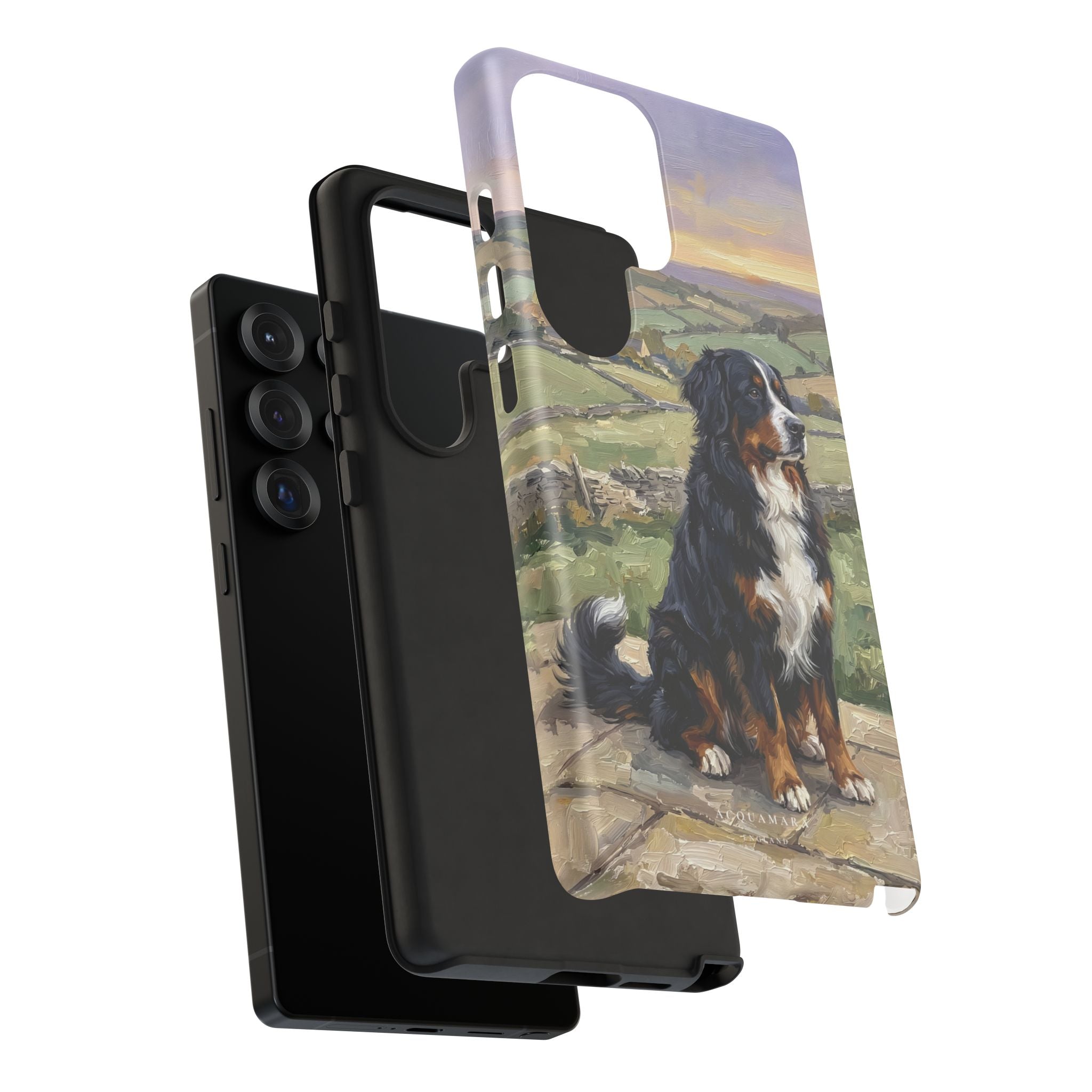 The Bernese Mountain Dog