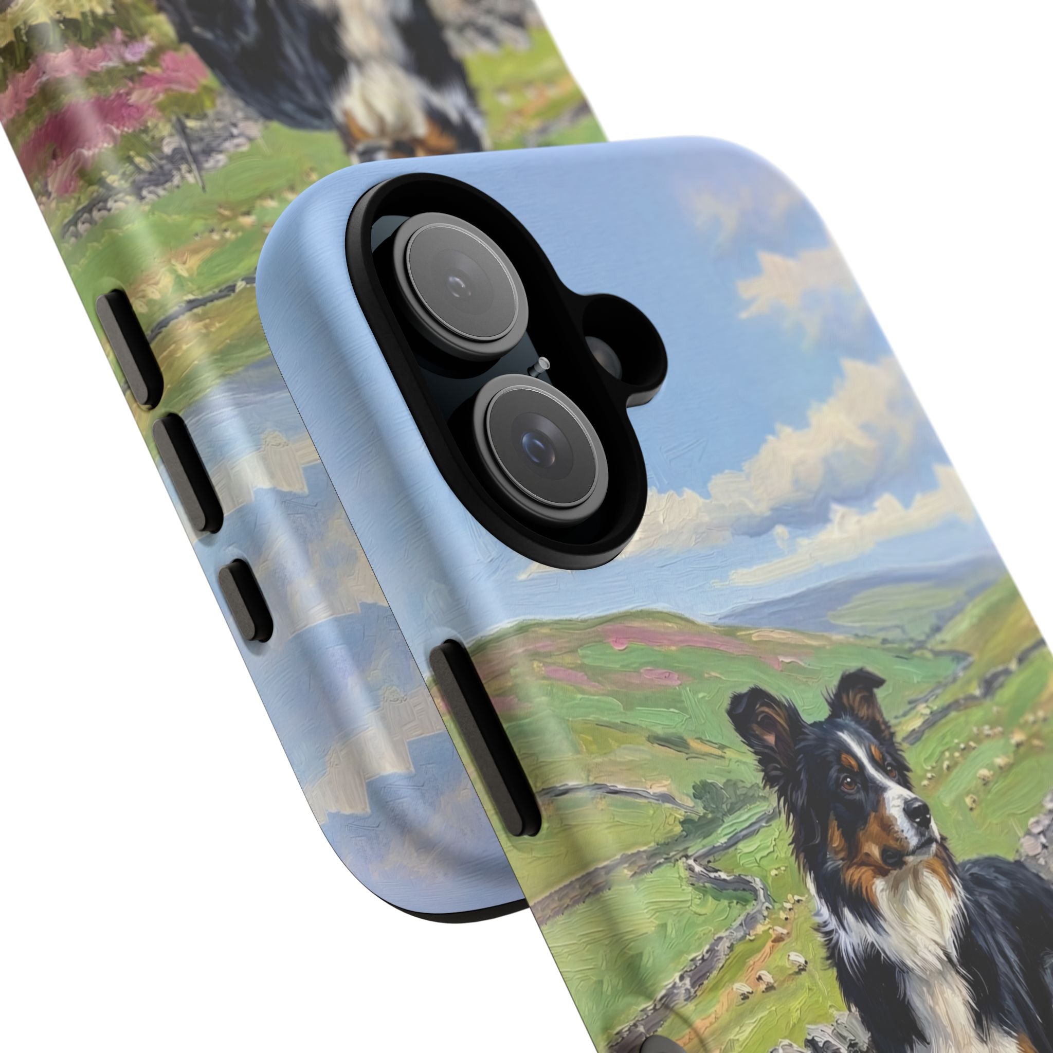 The Border Collie