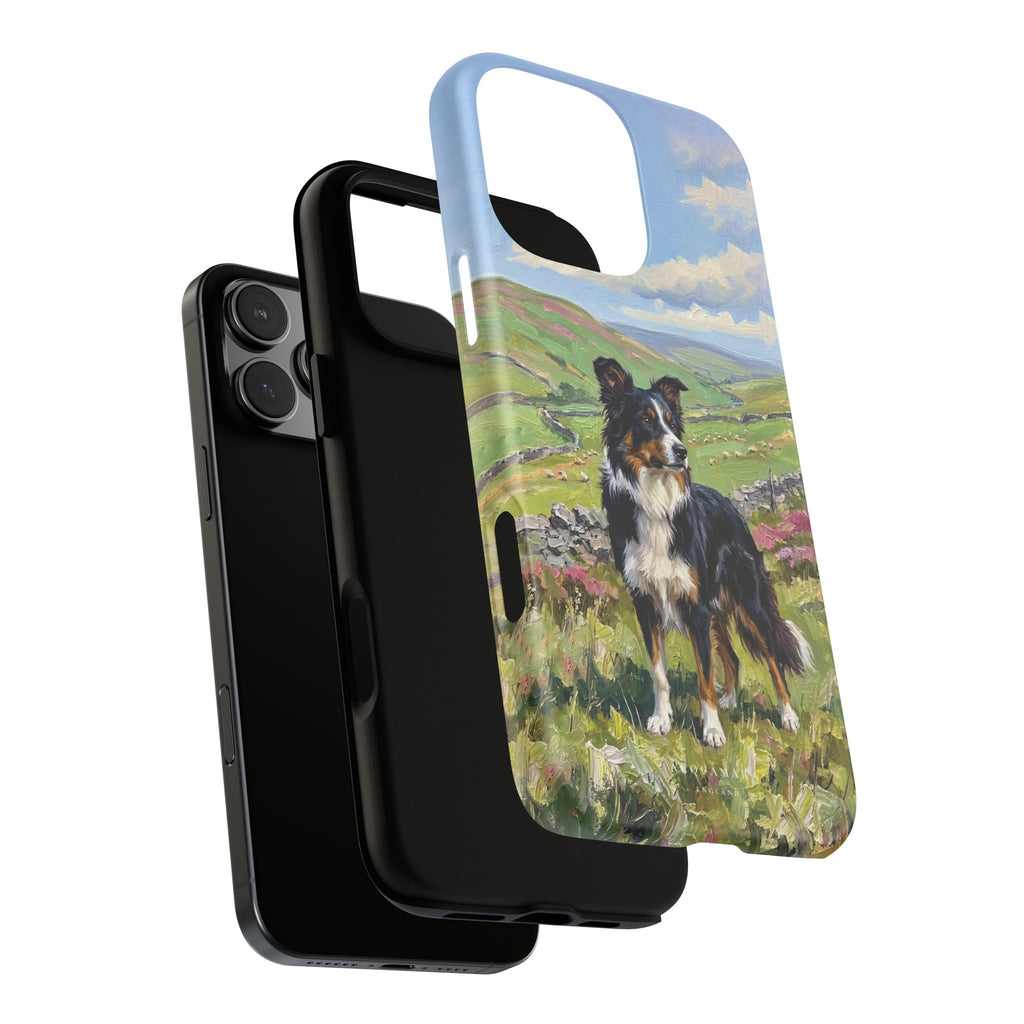 The Border Collie