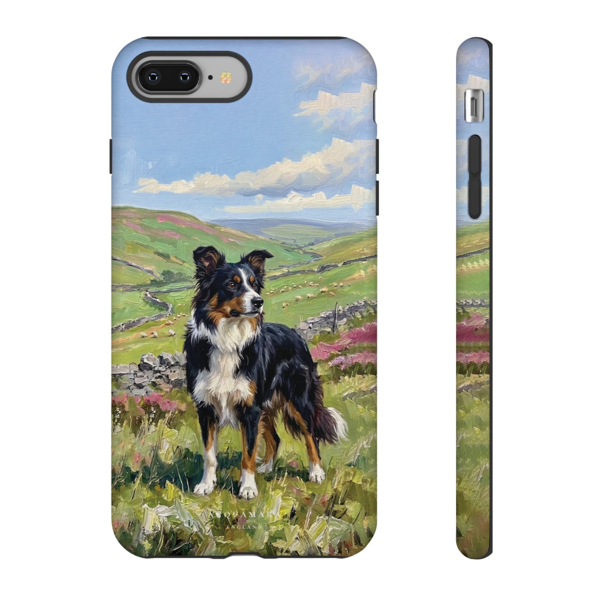 The Border Collie