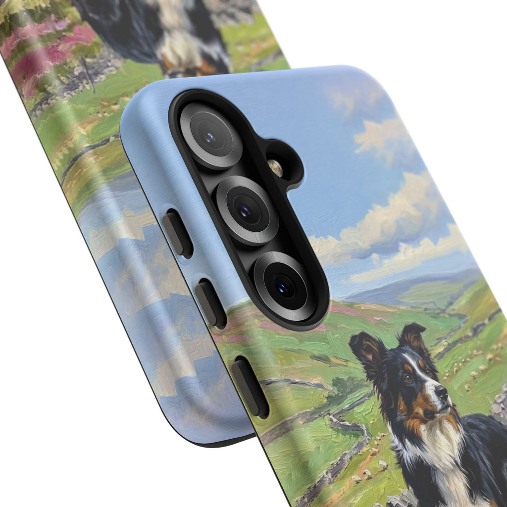 The Border Collie