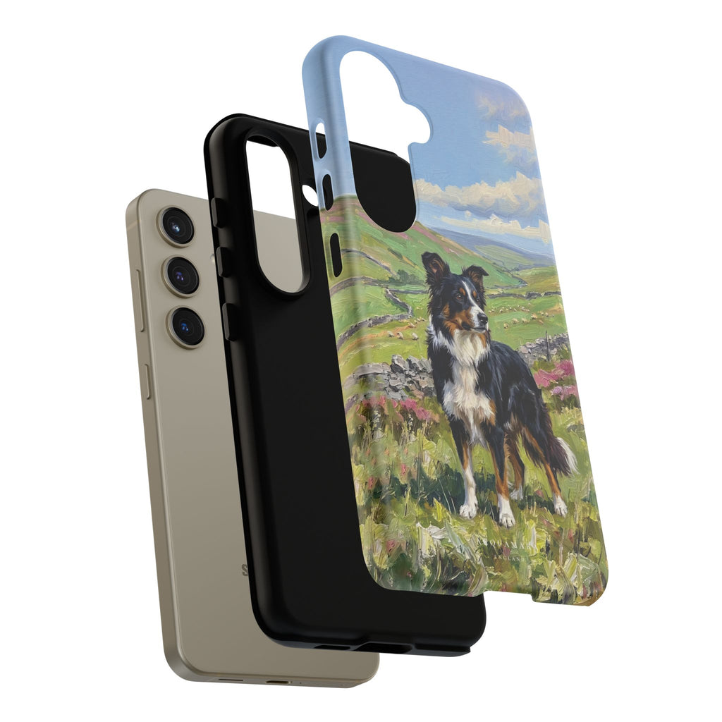 The Border Collie