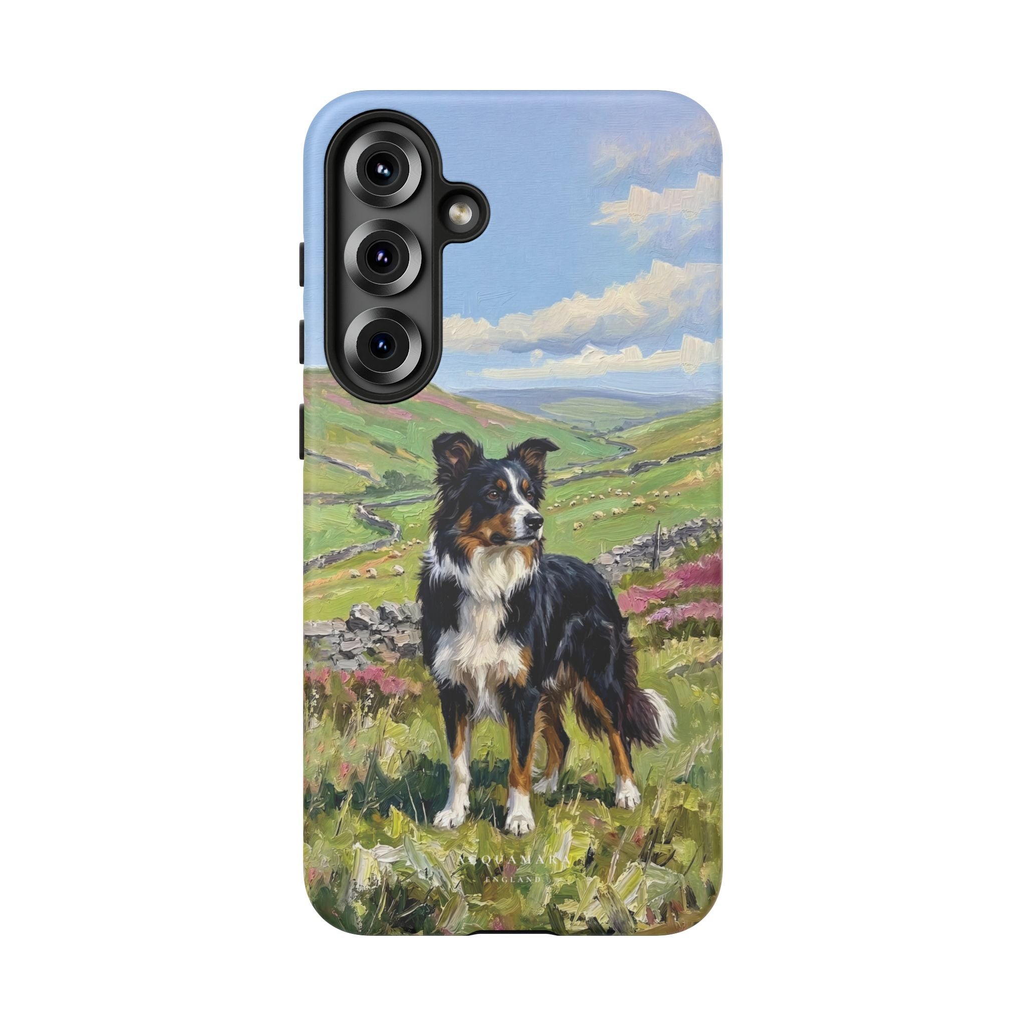 The Border Collie
