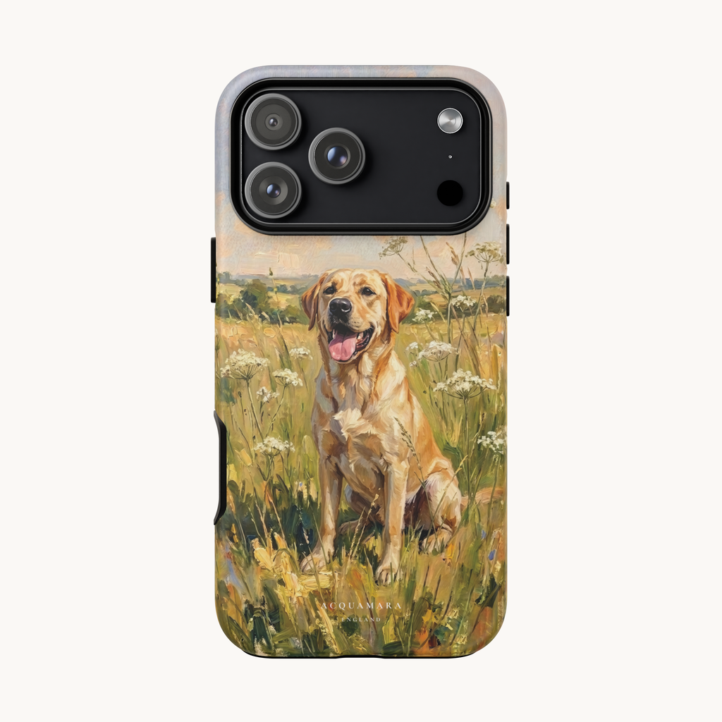 The Labrador (Yellow)