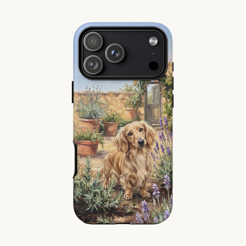 The Dachshund (Blonde long hair)