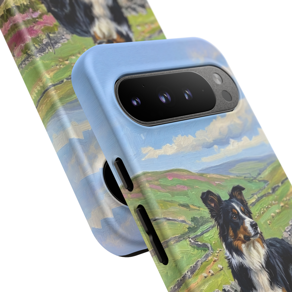 The Border Collie