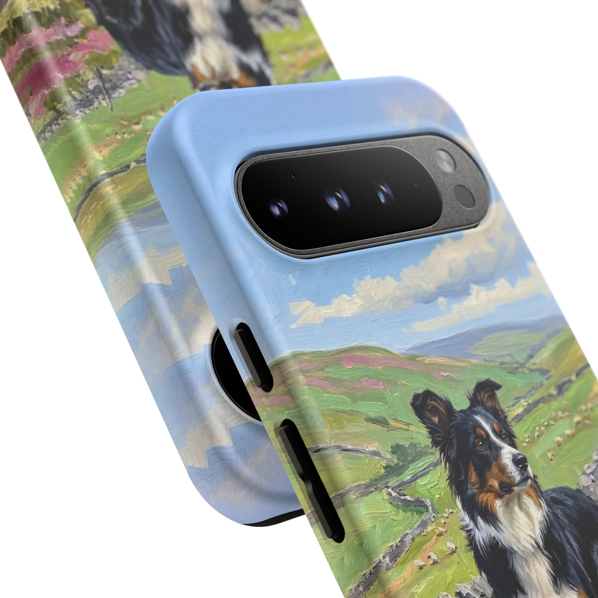 The Border Collie