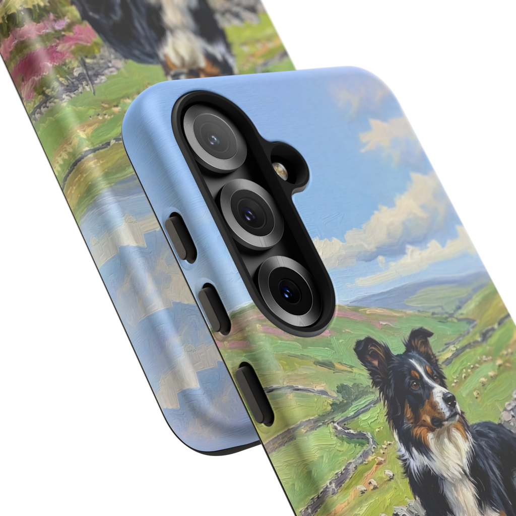 The Border Collie