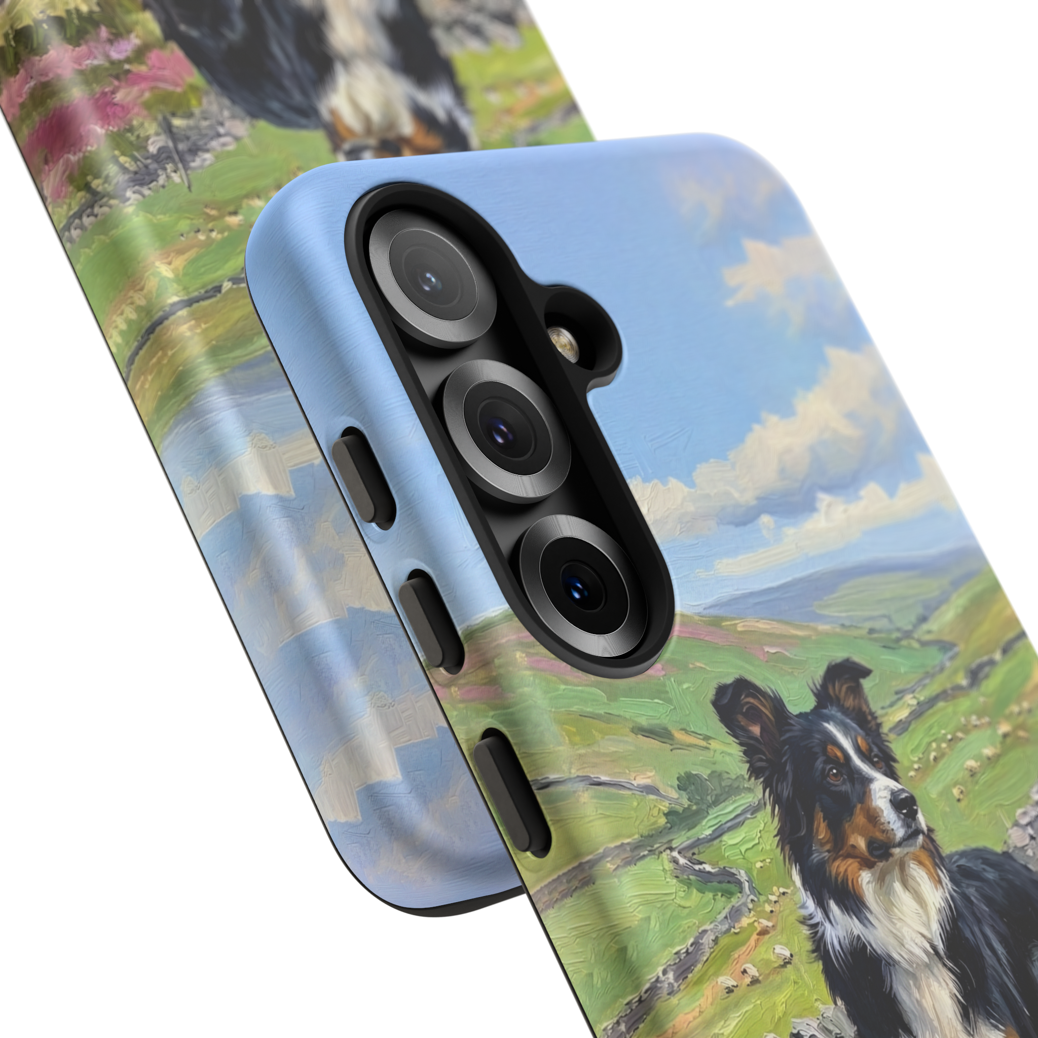The Border Collie