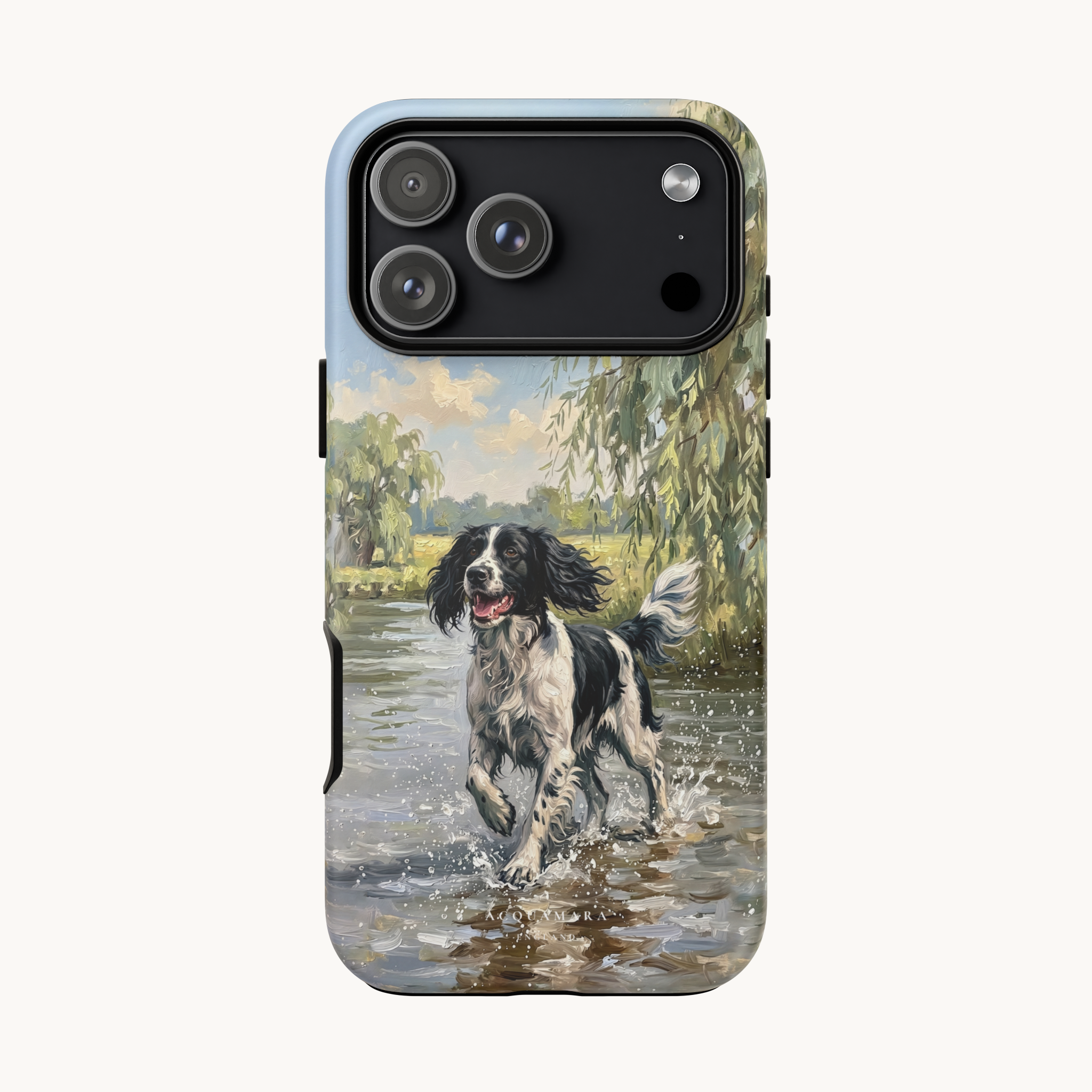 The Springer Spaniel (Black and white)