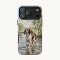 The Springer Spaniel (Liver and white)