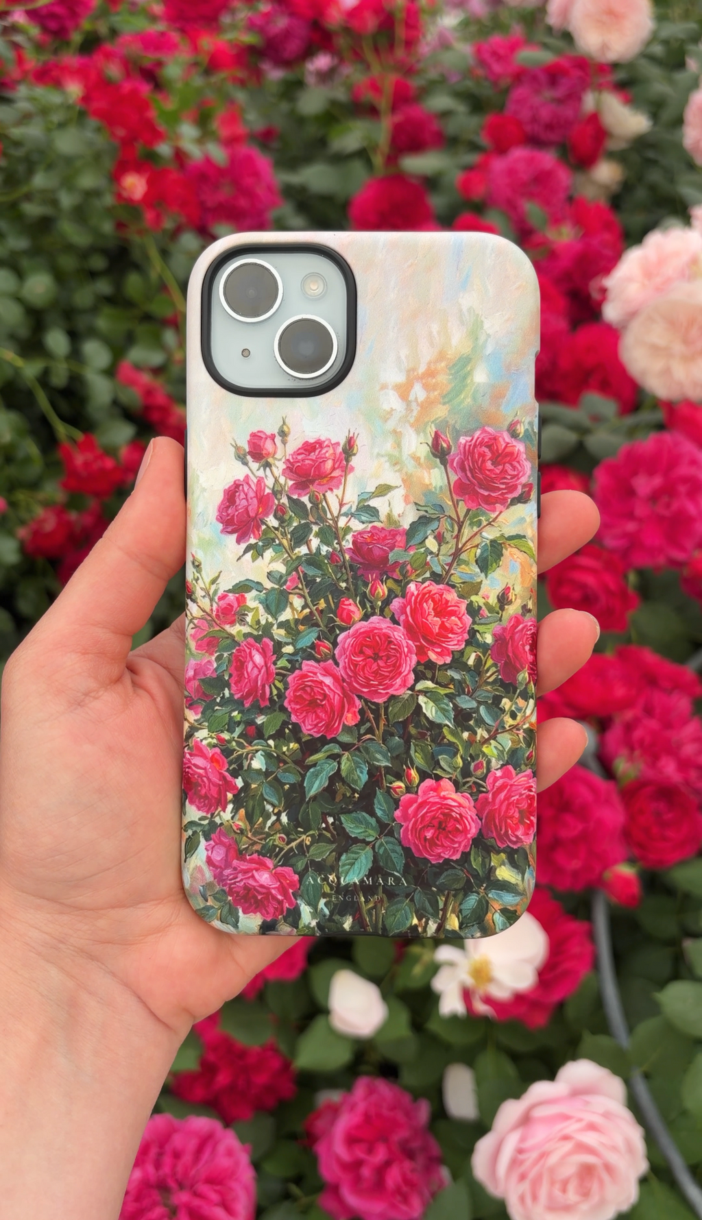 English Roses