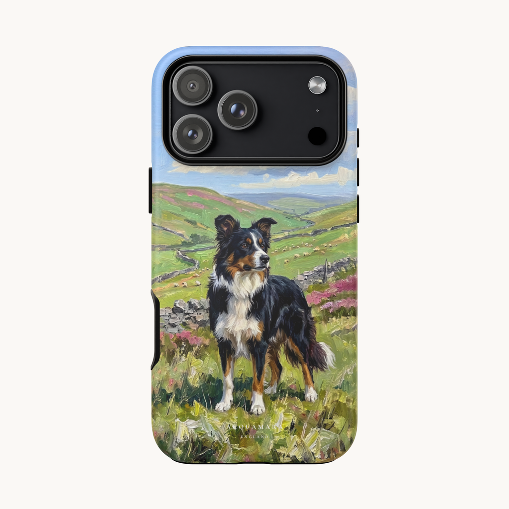 The Border Collie
