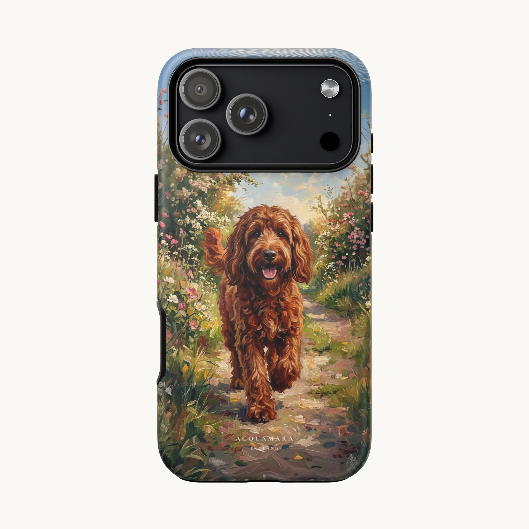 The Goldendoodle