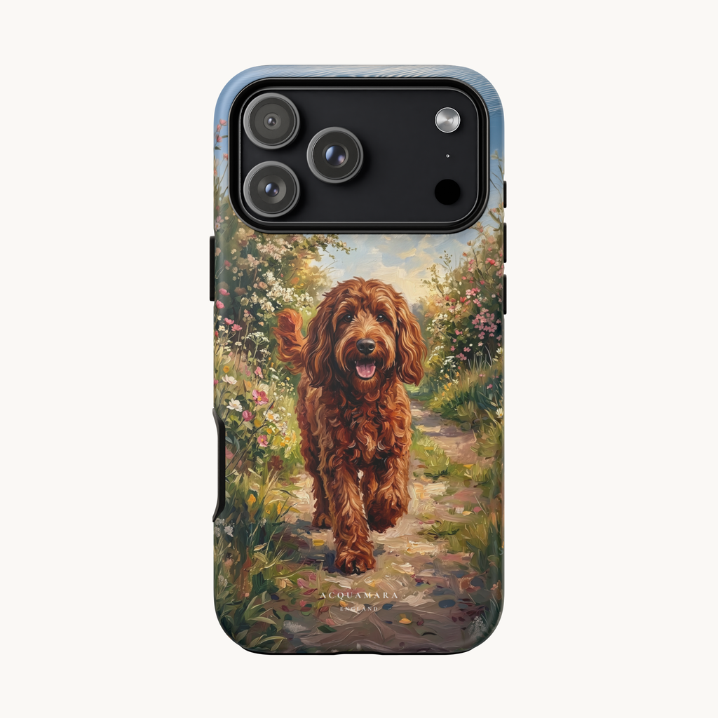 The Goldendoodle