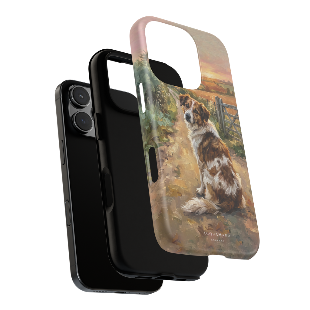 The Rescue