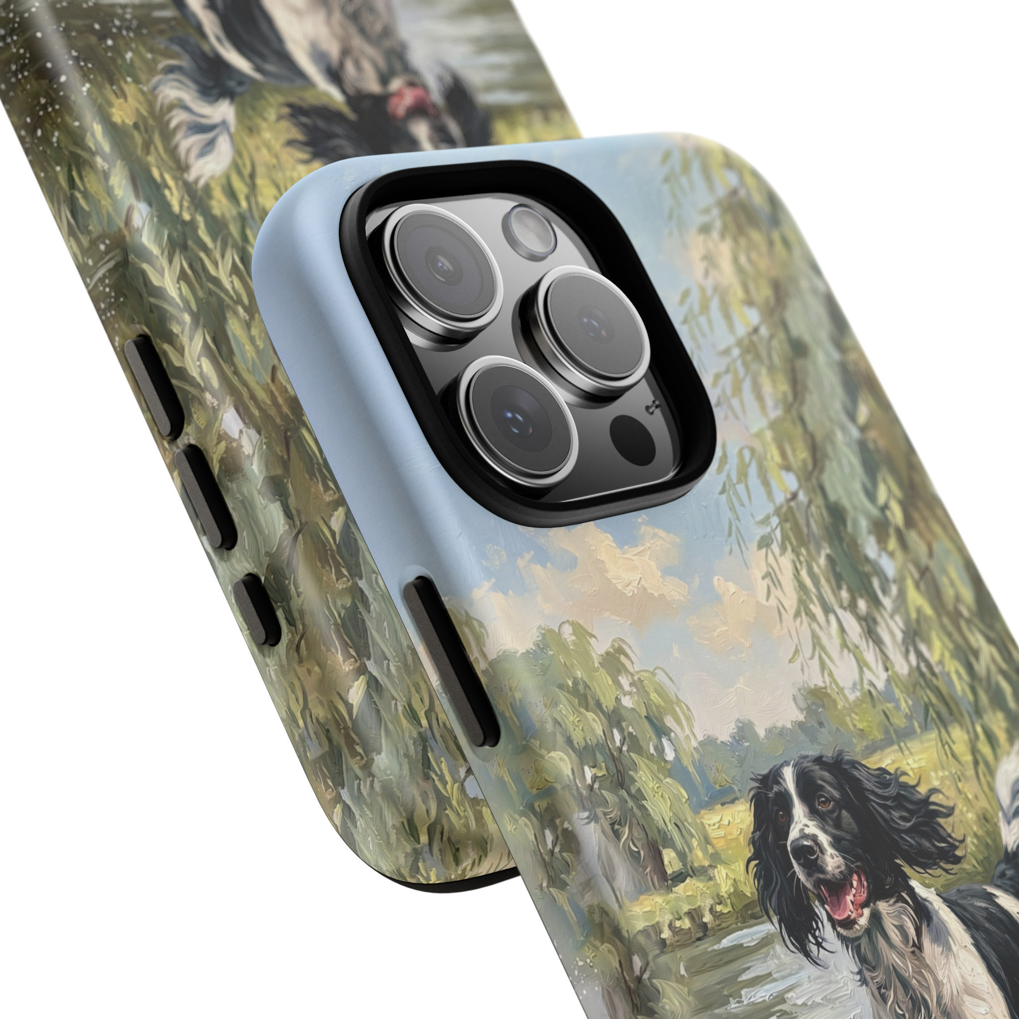 The Springer Spaniel (Black and white)