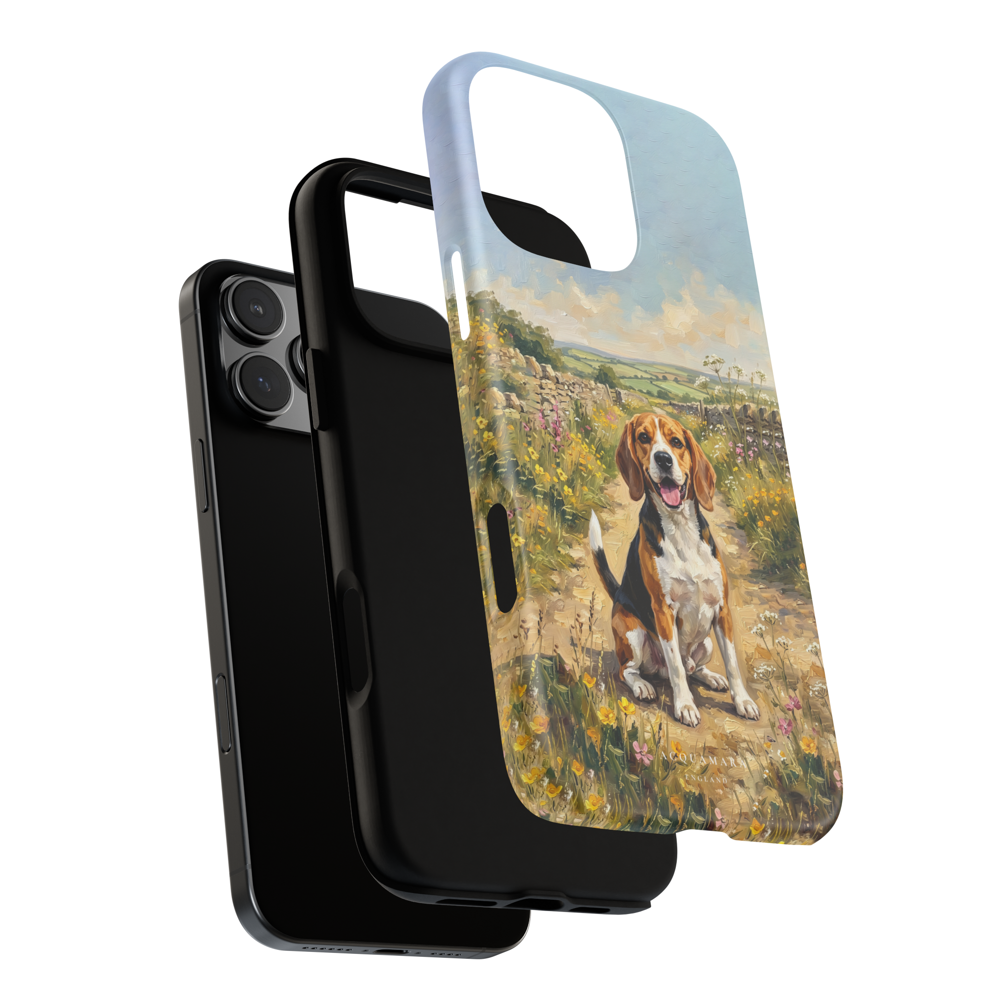 The Beagle