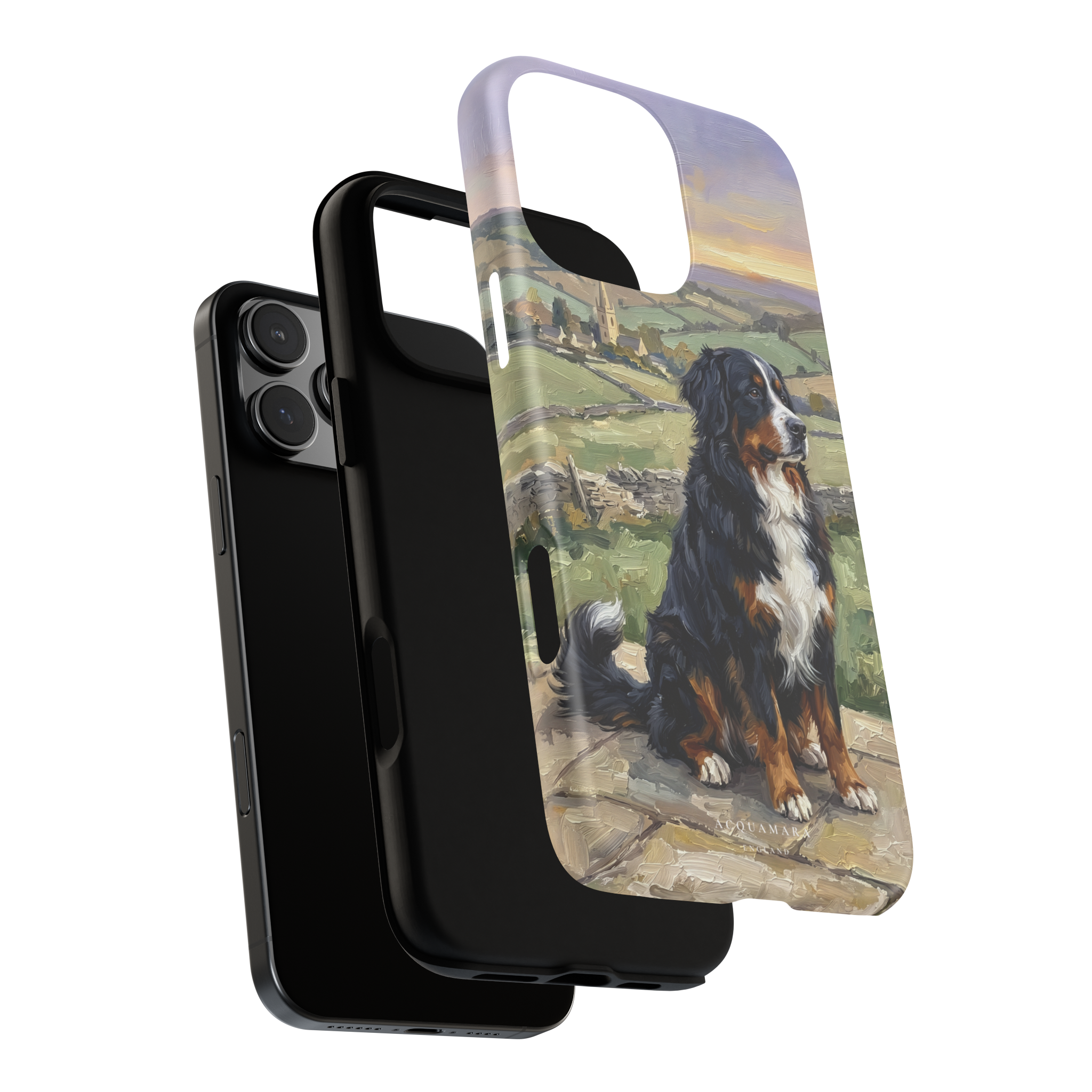 The Bernese Mountain Dog