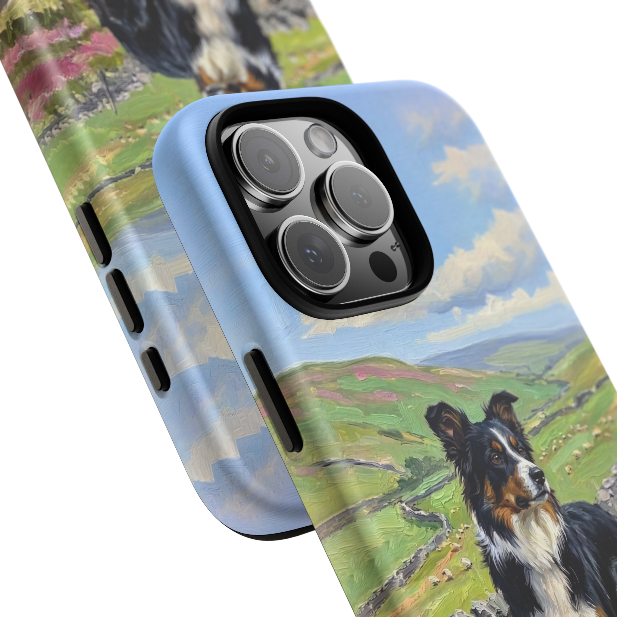 The Border Collie